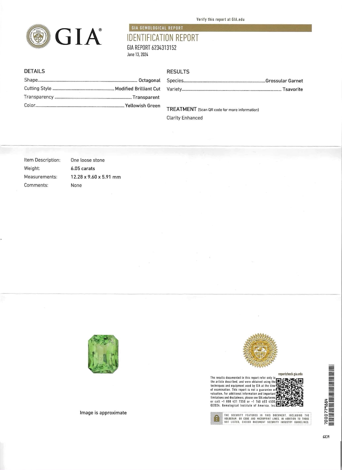 GIA Certified Tsavorite - 6.04ct - Radiant Mixed Cut