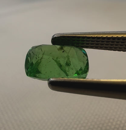 Natural Grossular Tsavorite Garnet (Green) - 0.99ct - Rectangular Cushion