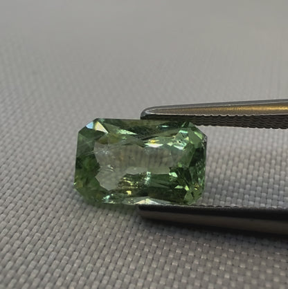 Tsavorite  - 1.73ct - Radiant Mixed Cut